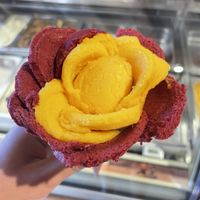   at Amorino in Verona