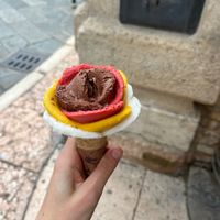 chocolate, raspberry, mango, lemon
medium size at Amorino in Verona