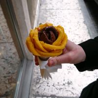 the flower ?  at Amorino in Verona