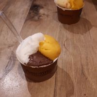 Vegan Sorbet at Amorino at Amorino in Verona