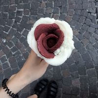 Berries & violets and lemon at Amorino in Verona