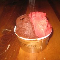 Vegan chocolate and raspberry gelato at Amorino - Brera in Milan