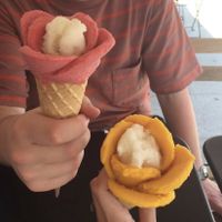 strawberry + lemon and mango + lemon at Amorino - Navigli in Milan