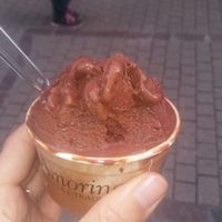 Small 3€70 at Amorino in Heidelberg