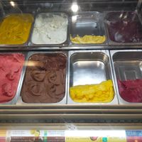 Vegan sorbet options at Amorino - Charing Cross in London