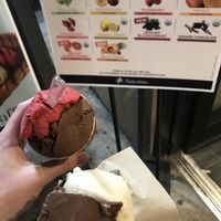 Vegan organic chocolate sorbet, raspberry sorbet and banana sorbet  at Amorino - Times Square in New York City