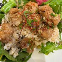 Soymeat karaage vege bowl at Rota Cafe in Fukuoka