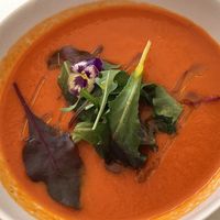 Tomato soup- delicious at Fach Juice Shop in Bratislava
