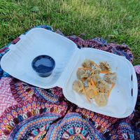 Ten dumplings with tofu and veggies enjoyed in a nearby park. at Parowar in Olsztyn