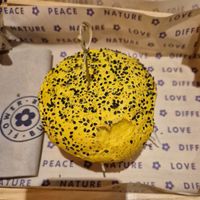 Funny crispy burger at Flower Burger in Rome