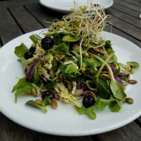 Vegan salad option at Harvest Pizzeria in Columbus