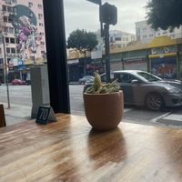 Downtown L.A. View Table Views #Veganuary at Wild Living Foods in Los Angeles