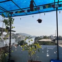 Roof top seating and view   at Yummy Yoga Cafe in Udaipur