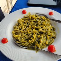  at Yummy Yoga Cafe in Udaipur