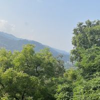   at TATTV Cafe in Rishikesh