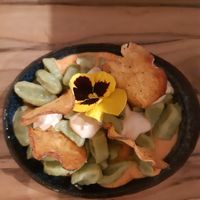 Broccoli gnocchi, zongedroogde tomaten saus, cashew knoflook kaas, aardappel chips at Hearth  in Amsterdam