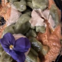 Main  at Hearth  in Amsterdam