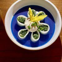 Voorgerecht met dashi en spirulina  at Hearth  in Amsterdam