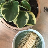 Peppermint Chip smoothie bowl at Native in Columbus