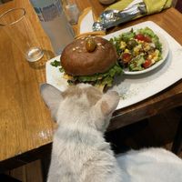   at El Maple in Quito