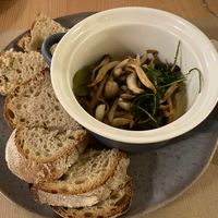 Mushroom starter made with lowfoodmap mushrooms  at Outro Lado in Faro