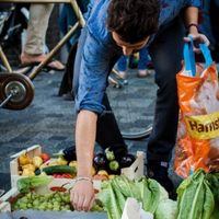 Food Cycle Market Tuesdays 16.00-18.00 at Taste Before You Waste in Amsterdam