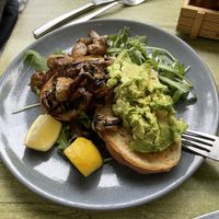 Avo on toast (no fetta)  at The Windmill Bargara in Bundaberg