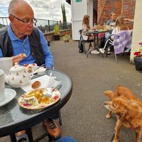  at Violets Tea Rooms in Bridgnorth