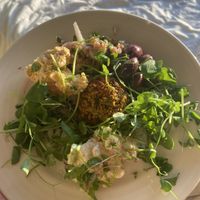 plated sprouts, hummus/falafel/olives/farro, and potato salad!  at Astoria Co-op Grocery in Astoria