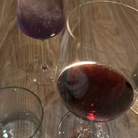   at Berkeley North in Hamilton