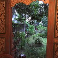 Pretty garden in the back.  at Veggie Karma in Ubud