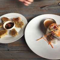 Dumplings and rice paper rolls at Veggie Karma in Ubud