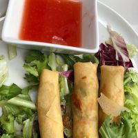 Spring rolls at La Herradura Vinoteca in Madrid