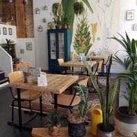 Interior with nice atmosphere at Lunchcafe Curcuma in Gouda