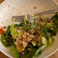 Salad (rice, lentils and veggies) at Lunchcafe Curcuma in Gouda