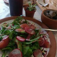 super yummy arugula salad with raddish and grapefruit. very light at Cabuche in Oaxaca
