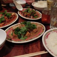 three types of tofu and rice at Hanoi Bike Shop in Glasgow