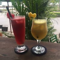 Juices at Tree Hugger in Dong Hoi