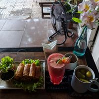 Spring rolls, watermelon detox juice, and delicious herbal tea at Tree Hugger in Dong Hoi