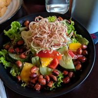 Green salad at Tree Hugger in Dong Hoi