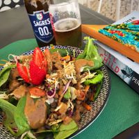 Vegano salad, 0% beer, a fan and a food book! at Escandinavia Green Spirit in Fuseta
