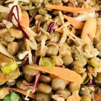 Tasty salad 😋  at Escandinavia Green Spirit in Fuseta