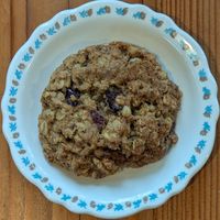 cranberry, oat, and walnut cookie at Shoofly in Portland