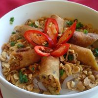 Fresh noodles with fried spring rolls at P&B Restaurant in Hoi An