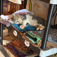   at Elixir Restaurante Pucallpa in Pucallpa