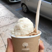 Compostable cup and spoon at Gelateria La Romana in Verona