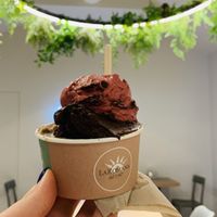   at Gelateria La Romana in Verona