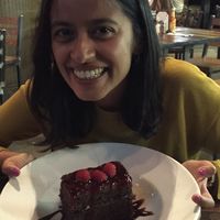 Huge delicious vegan choc cake!! at Nacho Daddy - The Strip in Las Vegas