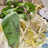 Pho toppings at Pho Ha in Moreno Valley