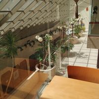  at Cozinha Consciente in Coimbra